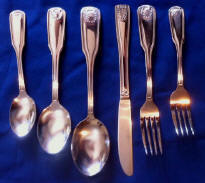 Shell Stainless Steel Flatware Service for 12