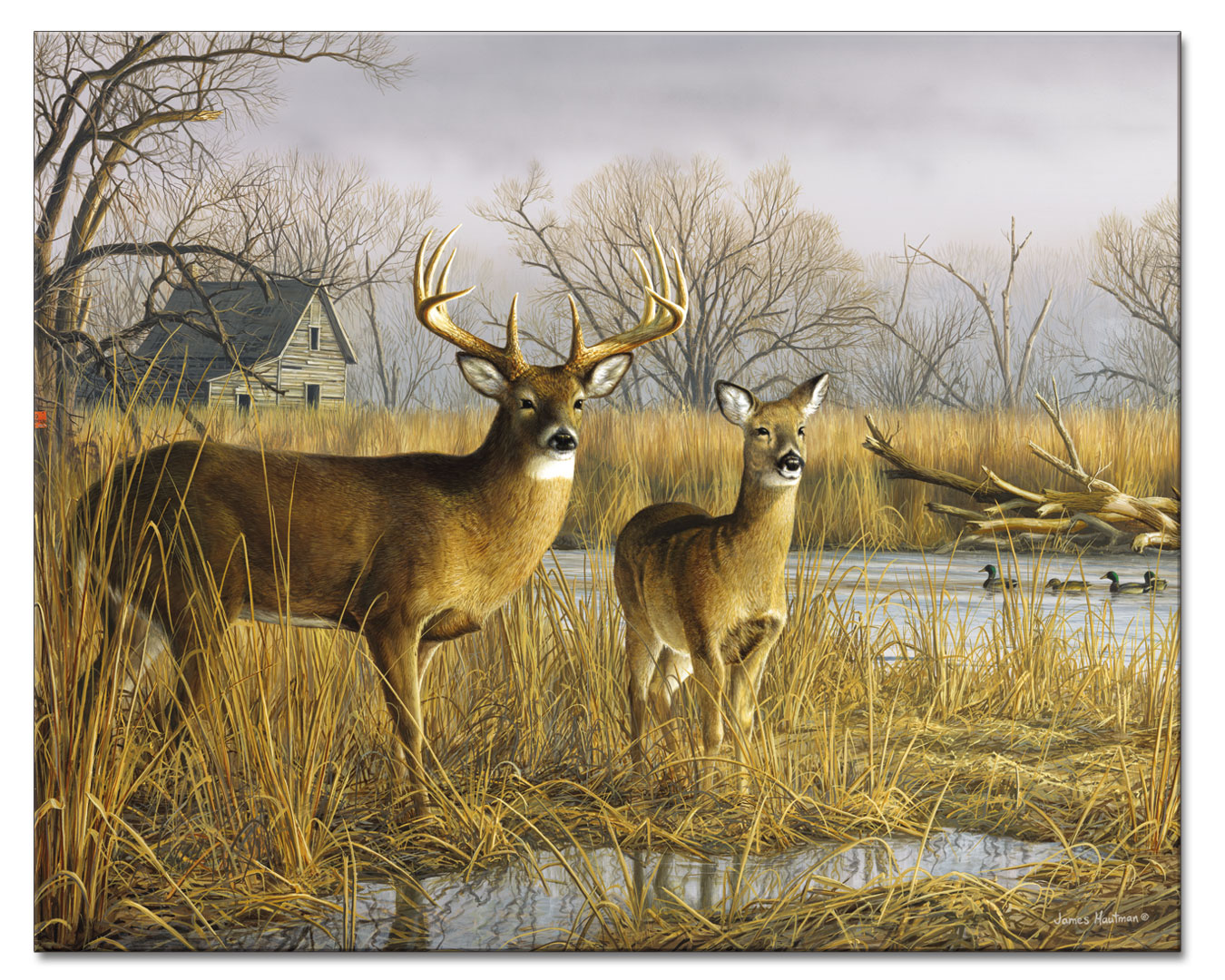 Morning Light Deer Cabin Lodge Glass Cuttingboard Trivet