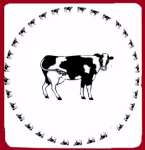 ~ Cows Square White - Metal Burner Cover ~ Cows Square White - Metal Burner Cover