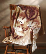 ~ A Sleeping Kitten Fleece Blanket Throw CLEARANCE!!