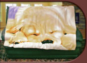 ~ A Puppy Fleece Blanket Throw CLEARANCE! ~ A Puppy Fleece Blanket Throw CLEARANCE!
