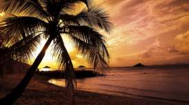 Moving Picture Beach Sunset -SML Moving Picture Beach Sunset -SML