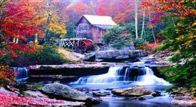 .Moving Picture Autumn Mill with Waterfall -ML