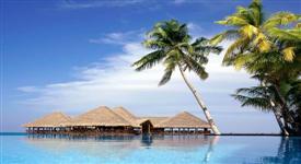 Moving Picture Tiki Huts -S Moving Picture Tiki Huts -S