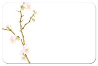 * CLEARANCE Corelle Cherry Blossom 4 Vinyl-Plastic Placemats