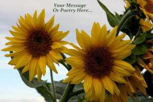 * A Tempered Glass CuttingBoard Trivet New Sunflowers * A Tempered Glass CuttingBoard Trivet New Sunflowers