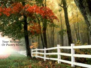 * An Autumn Walk Tempered Glass Cuttingboard Trivet * An Autumn Walk Tempered Glass Cuttingboard Trivet
