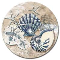 ! A Beach LazySusan Turntable Serving Platter Tide Pool Shells ! A Beach LazySusan Turntable Serving Platter Tide Pool Shells