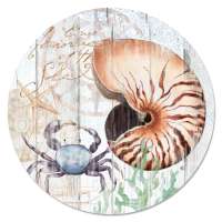 * - Beach Lazy Susan Turntable Serving Platter Shore Shells * - Beach Lazy Susan Turntable Serving Platter Shore Shells