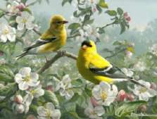 Goldfinch Floral Bird Nature Glass Cuttingboard Trivet Goldfinch Floral Bird Nature Glass Cuttingboard Trivet