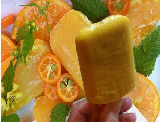 Creamy Dairy-Free Mango Popsicle Recipe