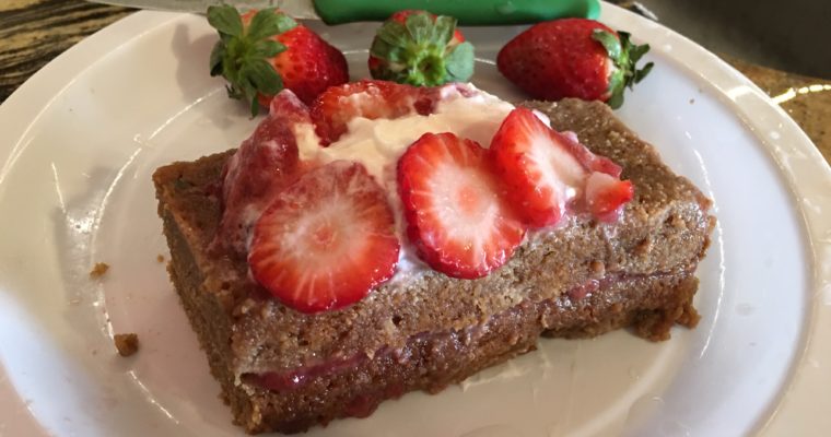 2-Layer Vegan Almond Tea Cake (Passover)