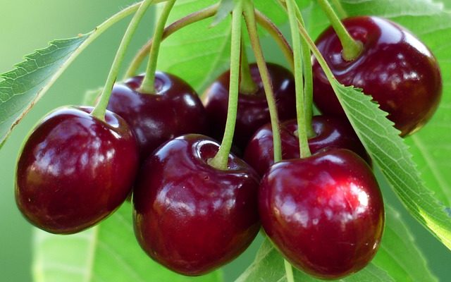 How To Make Berry Filling And Topping