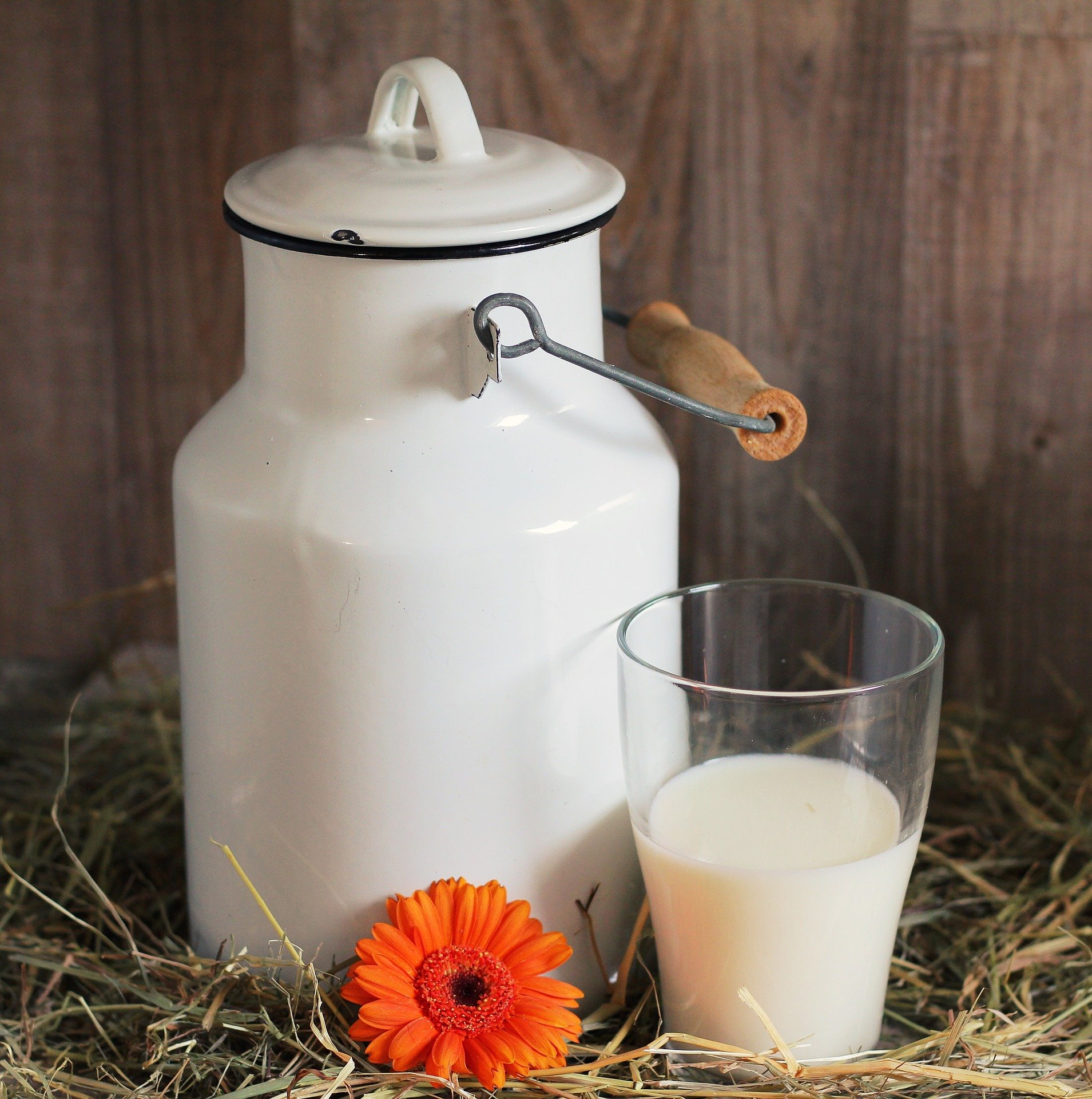 How To Make Dairy-Free Milk Almond or Cashew