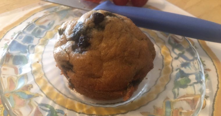 Gluten-Free, Vegan Applesauce Berry Muffins